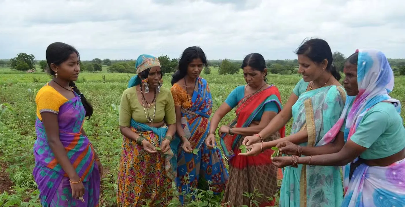 Regenerating Land in India through Women-led Climate Resilient Farming